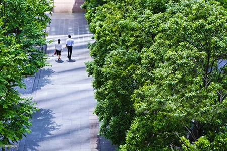 University College of Estate Management HK campus